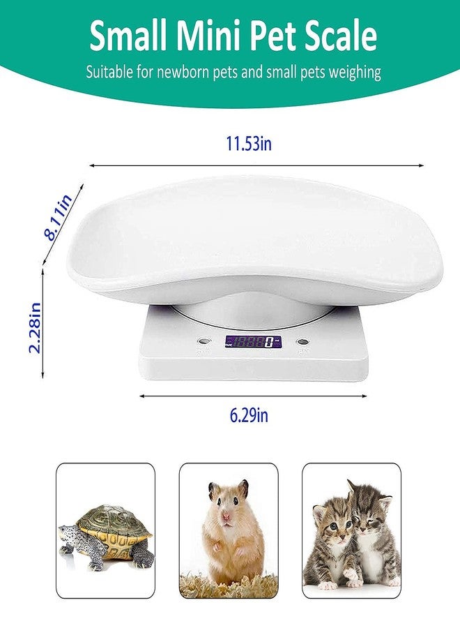 LFGKeng Digital Pet Scale, Small Animal Scale with Tape Measure, Kitchen Food Scale, Weighing Max 33lbs, Size 12"x8", LCE Electronic Weight Scale Only for Newborn Kitten, Puppy, Hamster, Little Bird (White) - Image 3